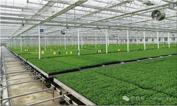  设施农业更新改造提升项目实施建议